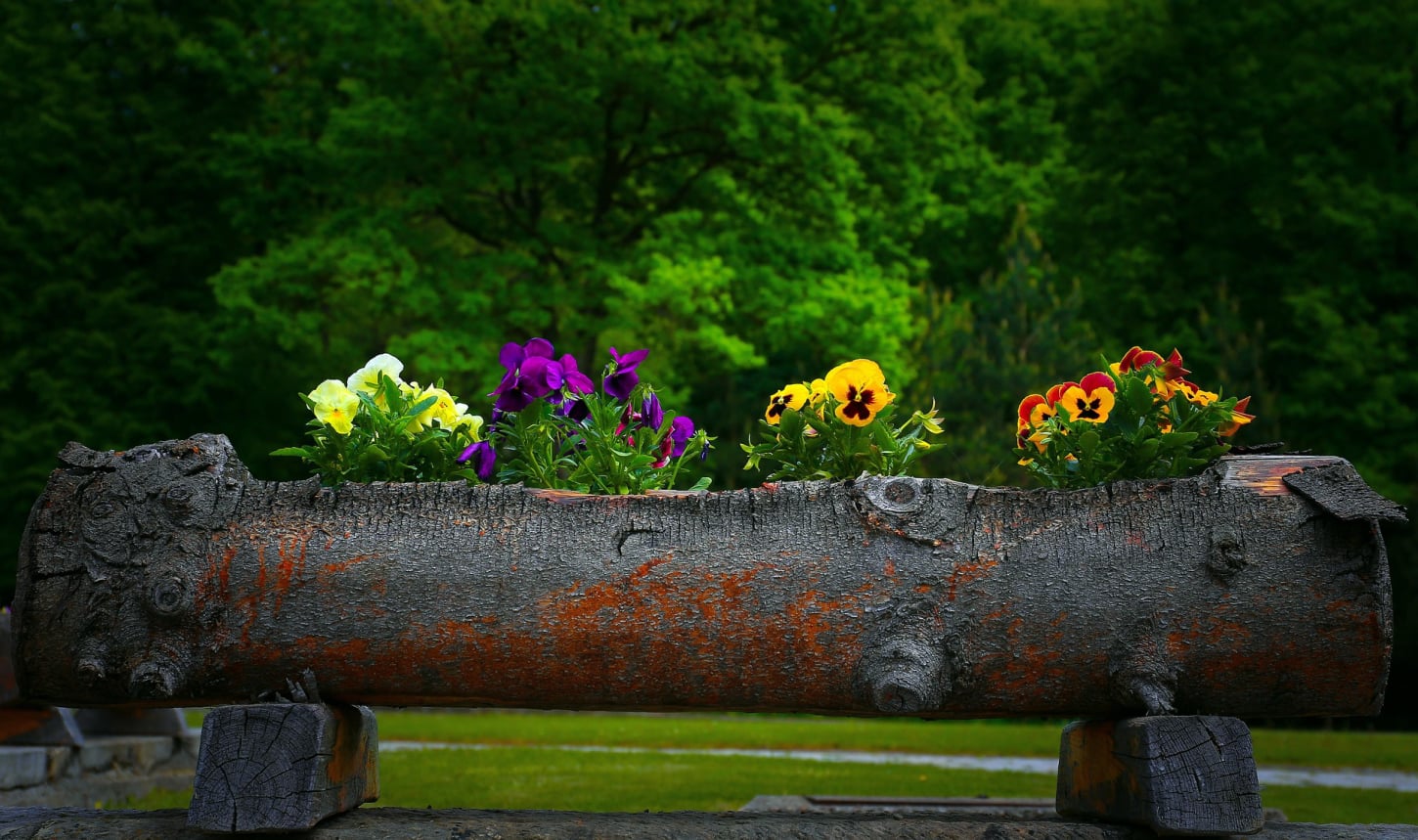 Premium Designer Planters